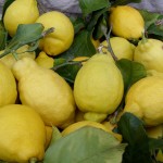 Limoncello Tour