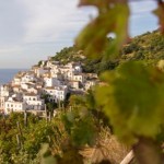 La degustazione del vino in Costiera Amalfitana: assaggiando il Nettare degli Dei