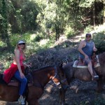 On the Amalfi Coast by horse