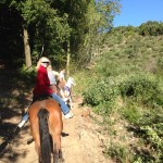 horse riding amalfi coast