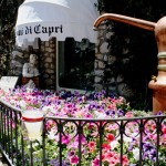 gardens of Capri Island